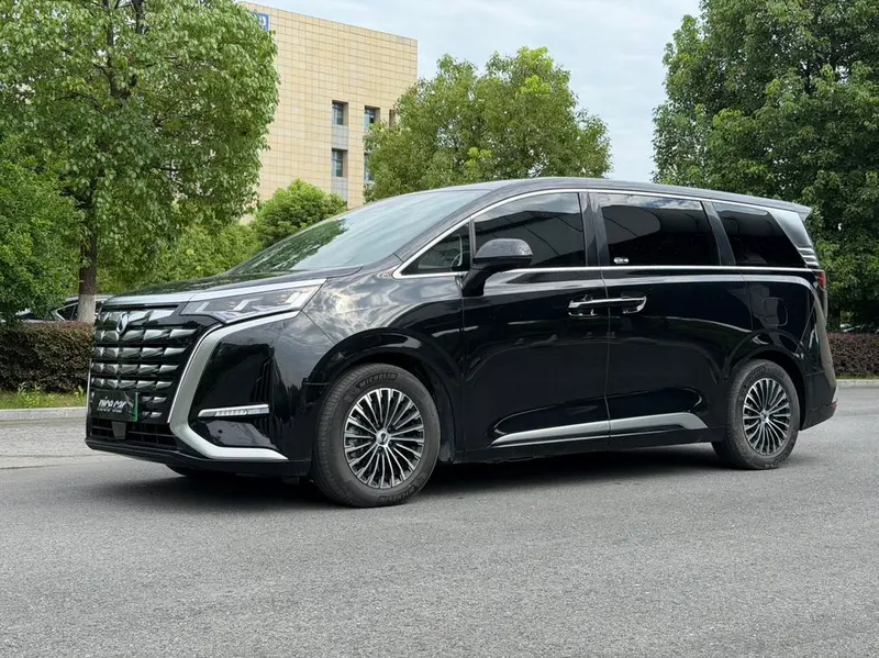 Denza D9 DM, 2024