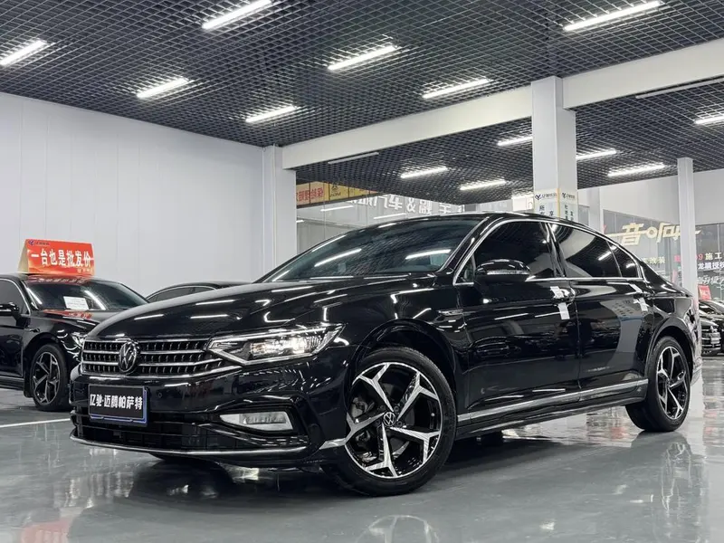 Volkswagen Magotan, 2024