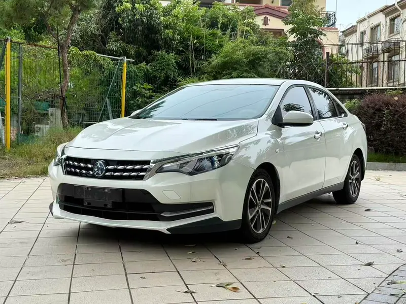 Venucia D60, 2019