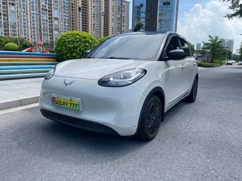 Wuling Bingo, 2023