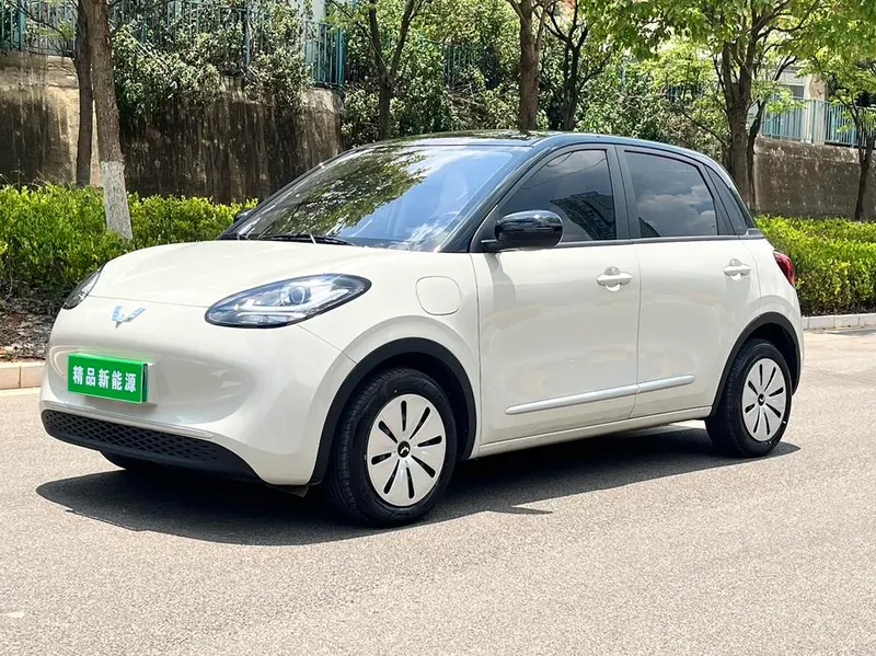 Wuling Bingo, 2025