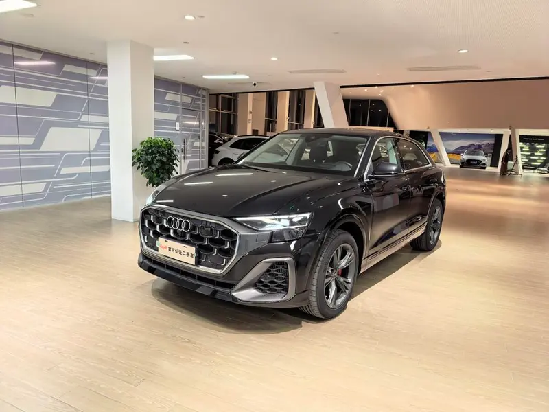 Audi Q8, 2024