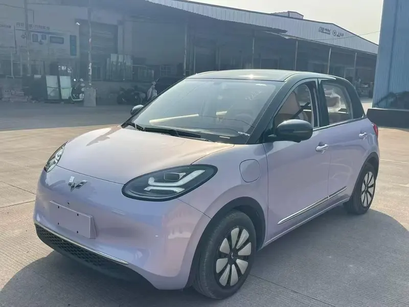 Wuling Bingo, 2025