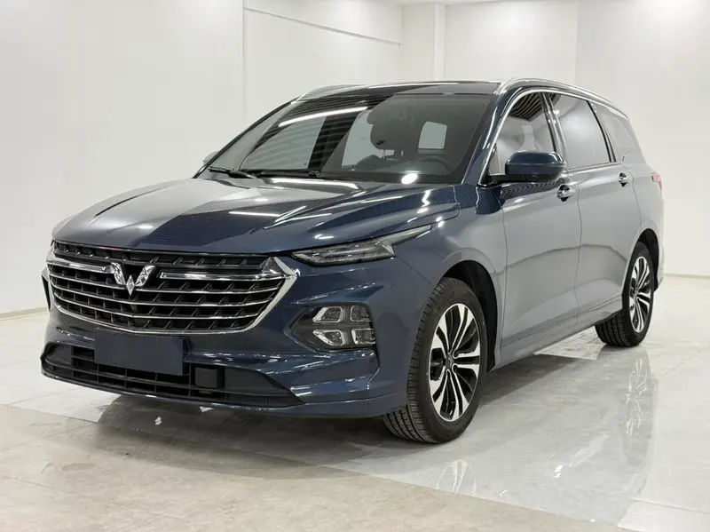 Wuling Capgemini Victory, 2020