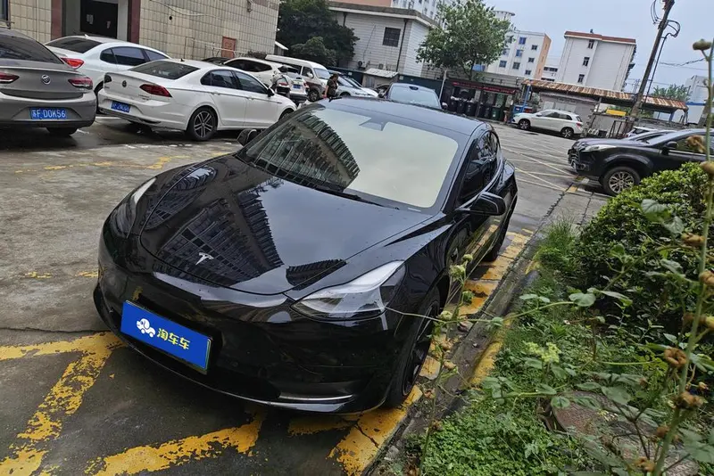 Tesla Model 3, 2021