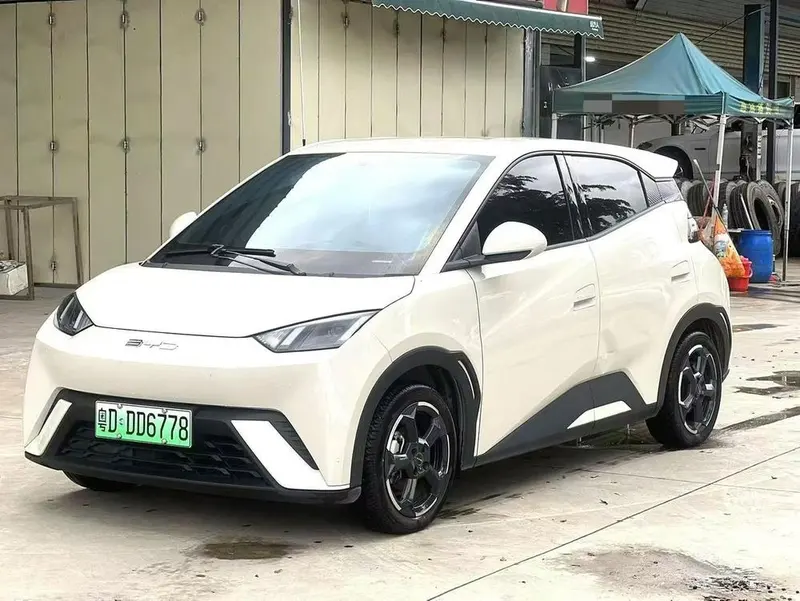 BYD Seagull, 2024