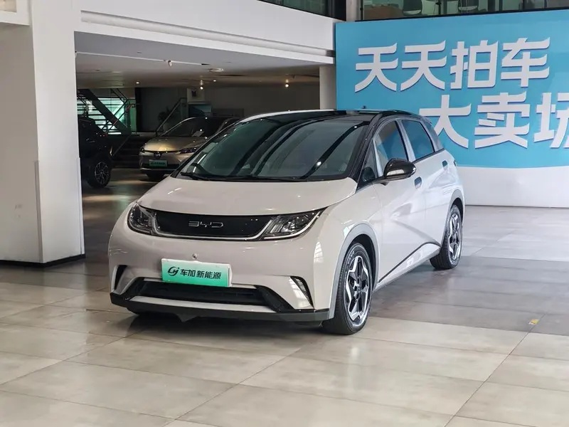 BYD Dolphin, 2021