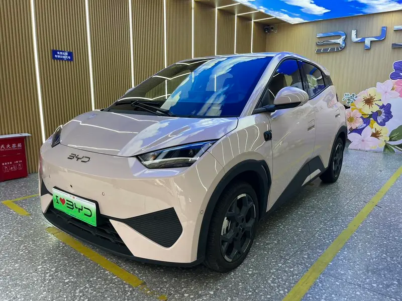BYD Seagull, 2025