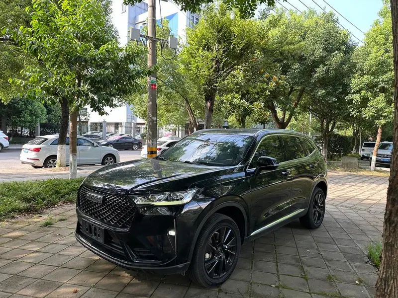 Haval H6, 2021