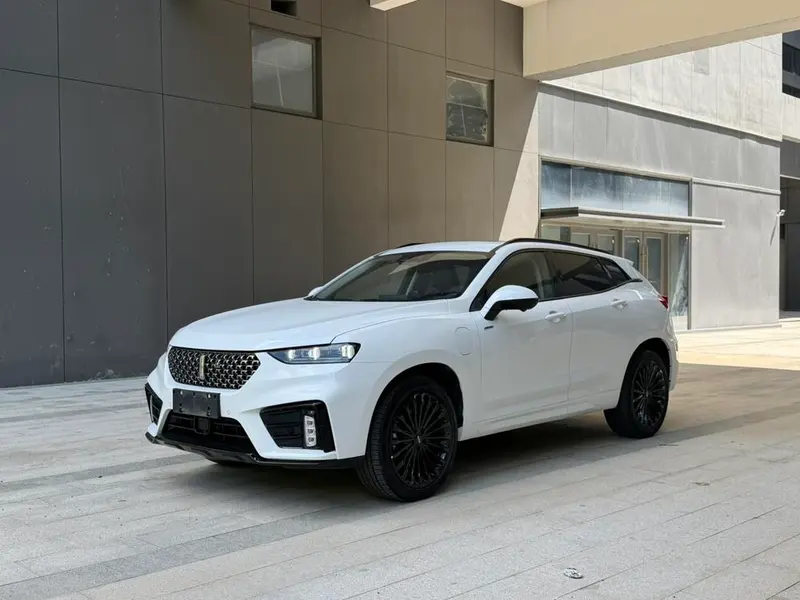Wey VV7 PHEV, 2020