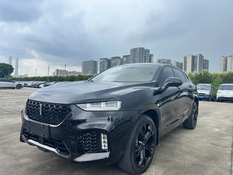 Wey VV7, 2019