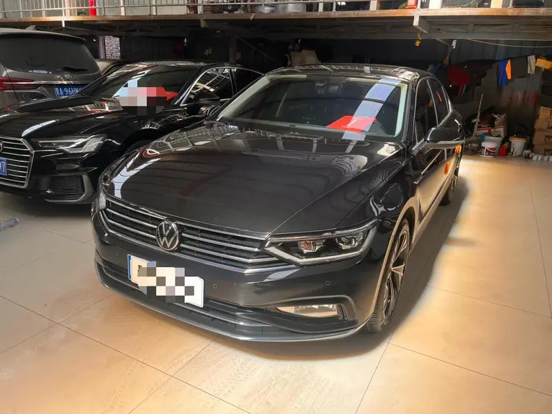 Volkswagen Magotan, 2020