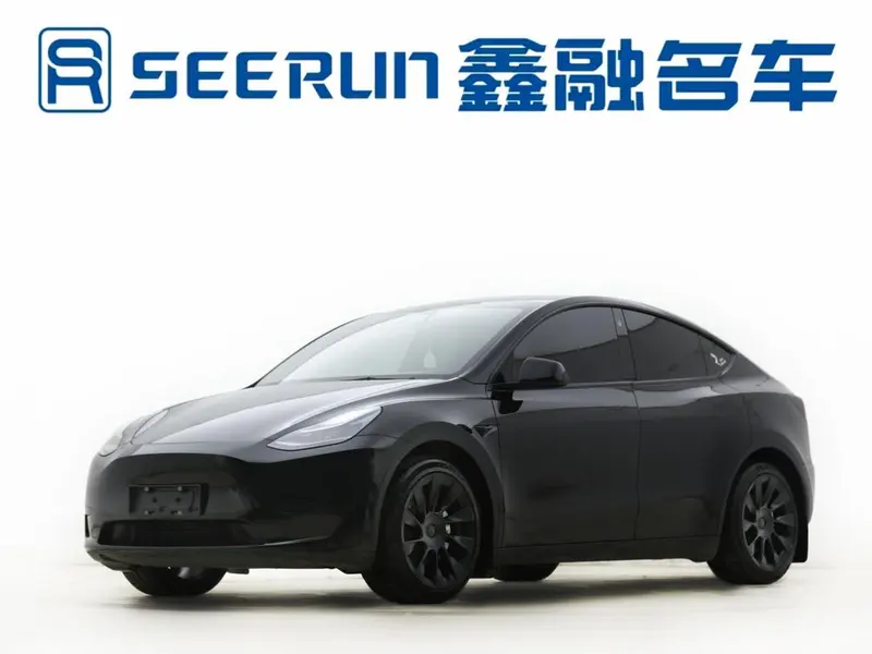 Tesla Model Y, 2022