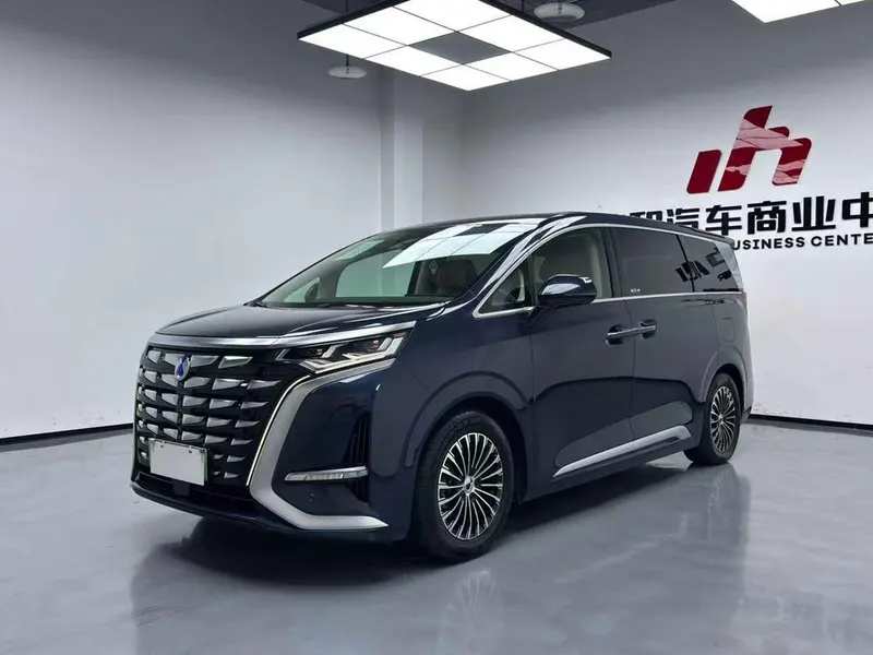 Denza D9 DM, 2024
