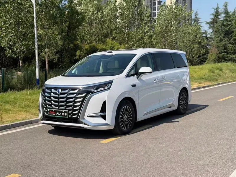 Denza D9 DM, 2025