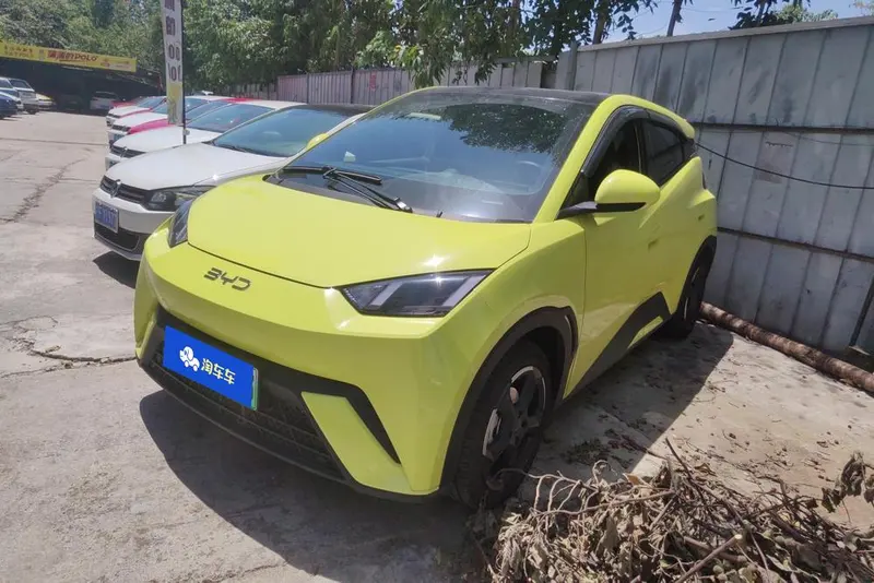 BYD Seagull, 2024