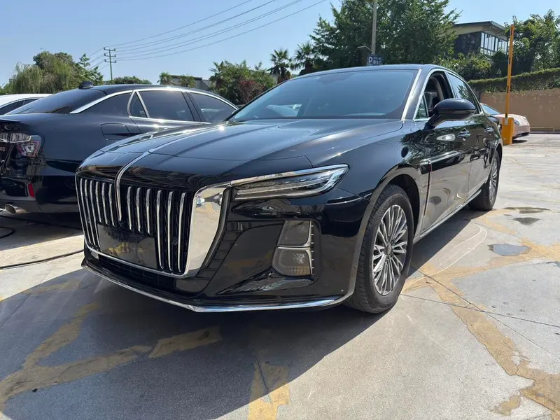 Hongqi H5, 2024