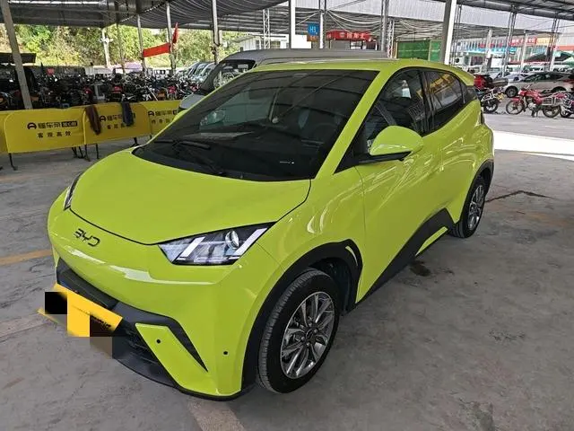 BYD Seagull, 2024