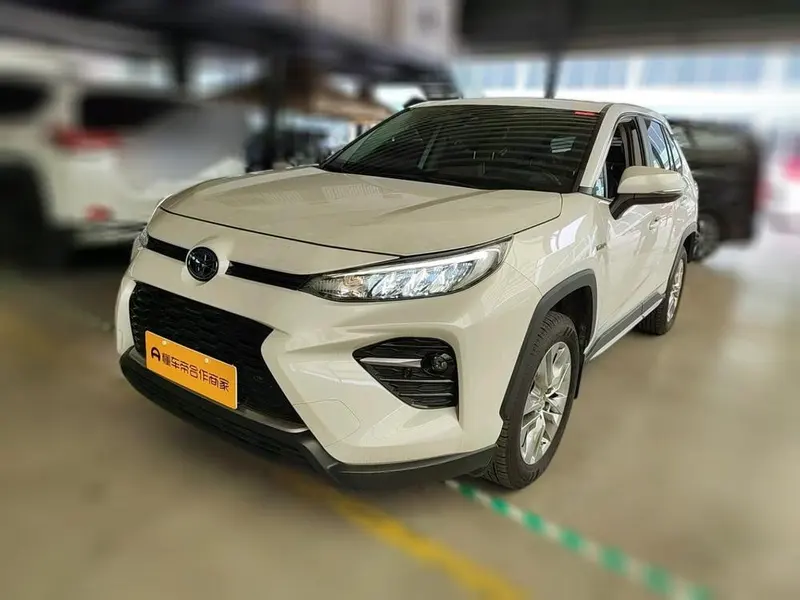 Toyota Wildlander, 2020