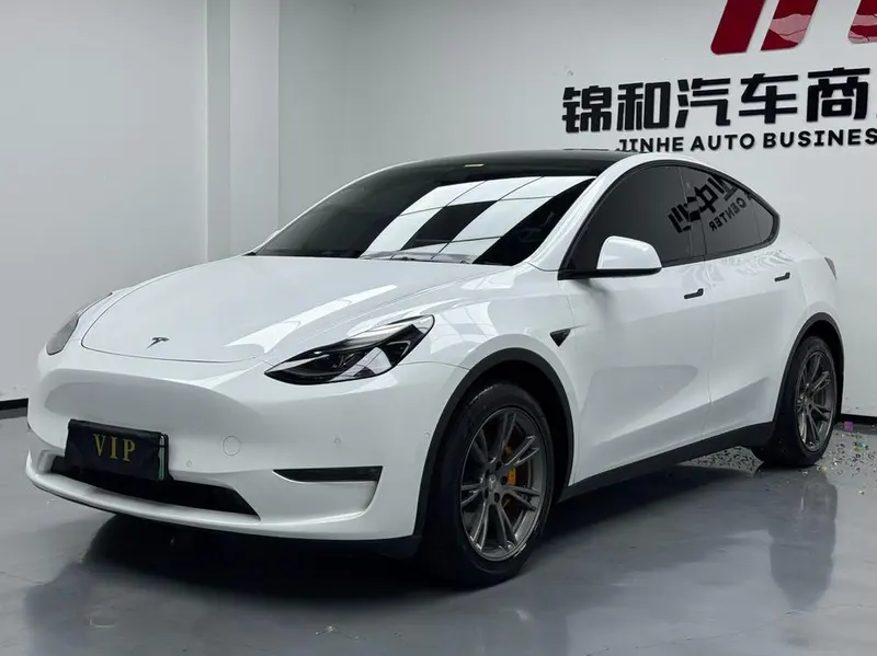 Tesla Model Y, 2021