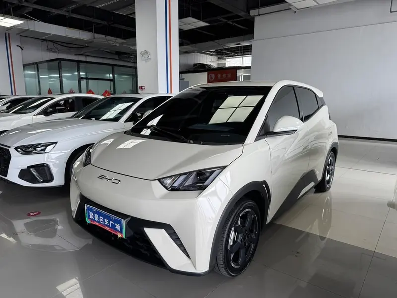 BYD Seagull, 2024
