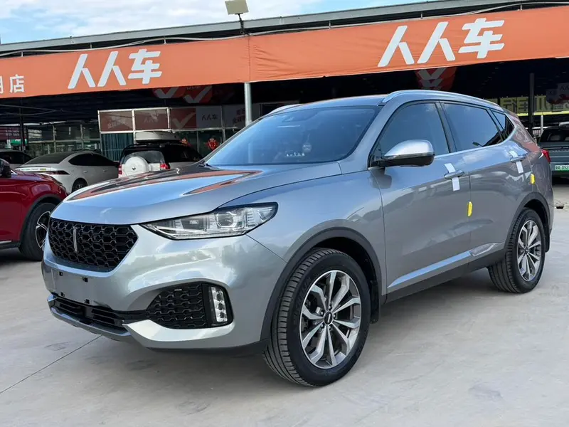 Wey VV6, 2018