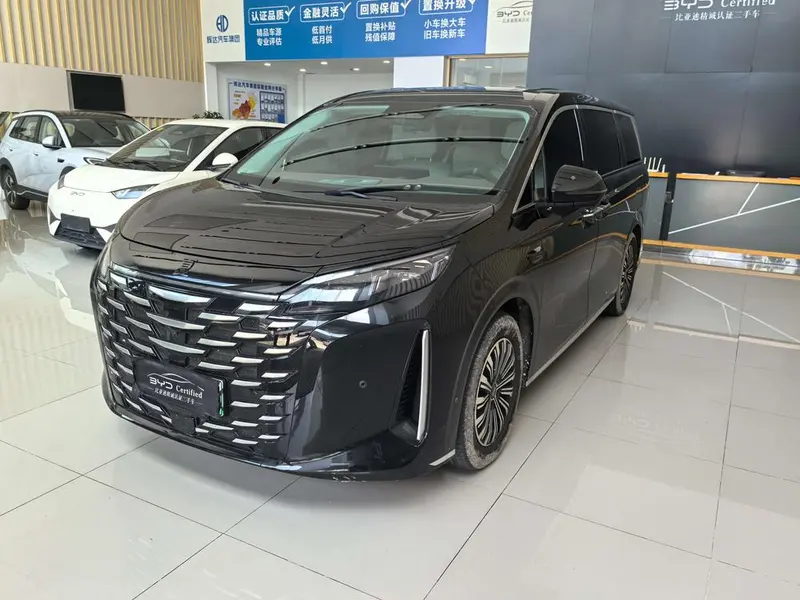 BYD Xia, 2025