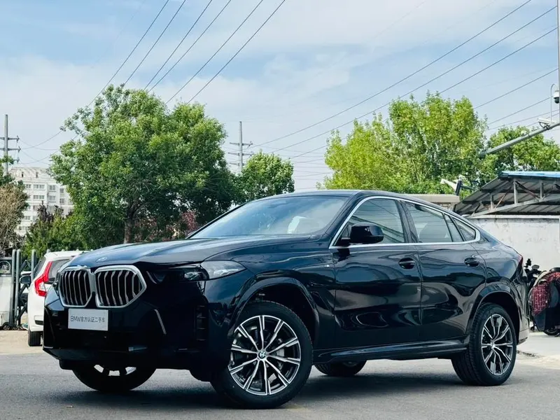 BMW X6, 2023