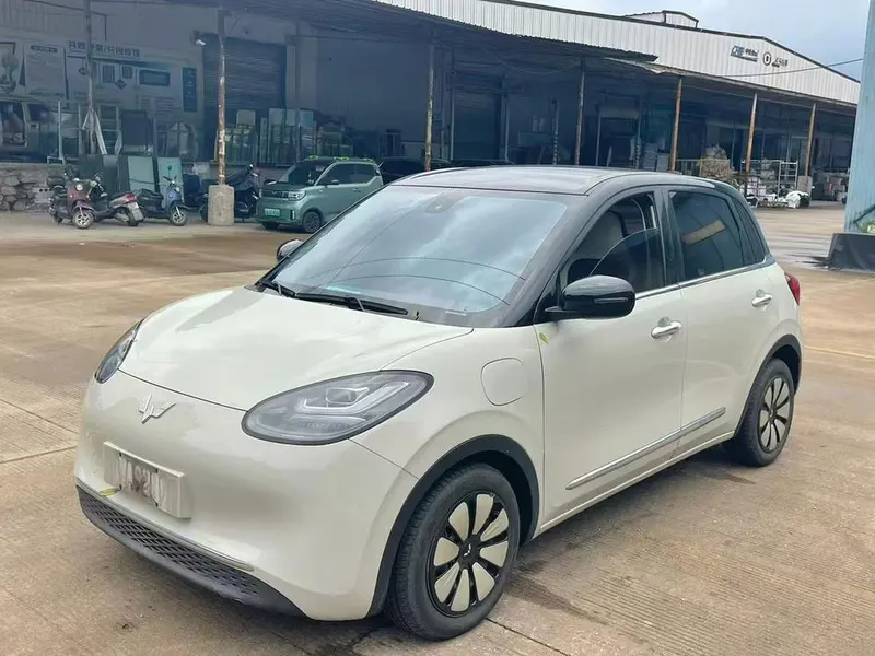 Wuling Bingo, 2023