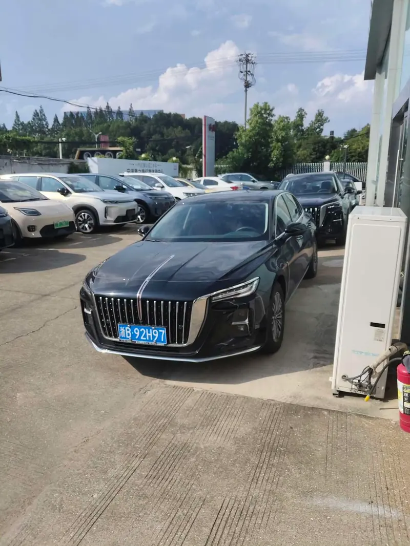 Hongqi H5, 2025