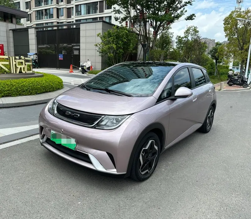 BYD Dolphin, 2021