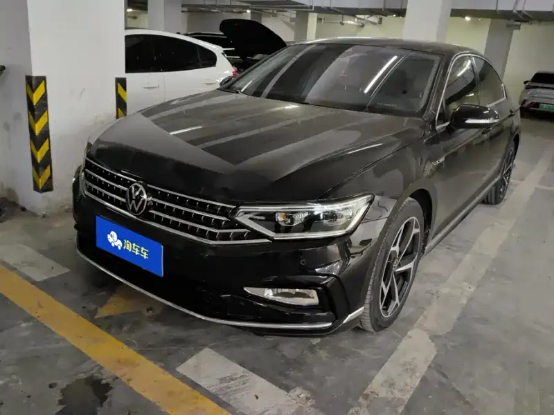 Volkswagen Magotan, 2024