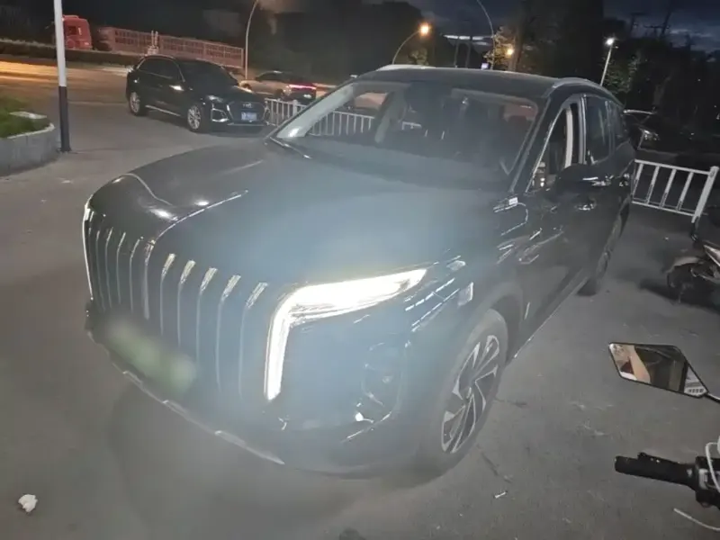 Hongqi HS7 PHEV, 2025