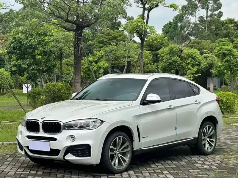 BMW X6, 2019