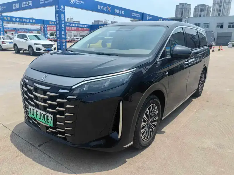 BYD Xia, 2025