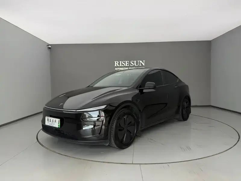 Tesla Model Y, 2025