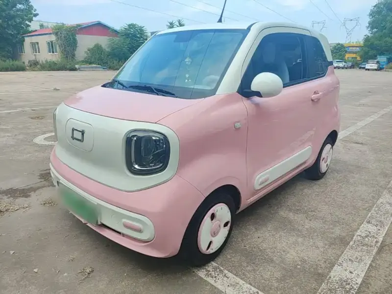Bestune Pony, 2024