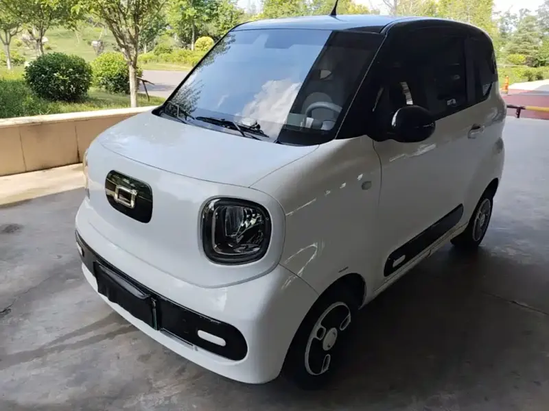 Bestune Pony, 2024