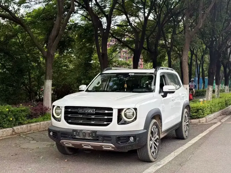 Haval Big Dog, 2020