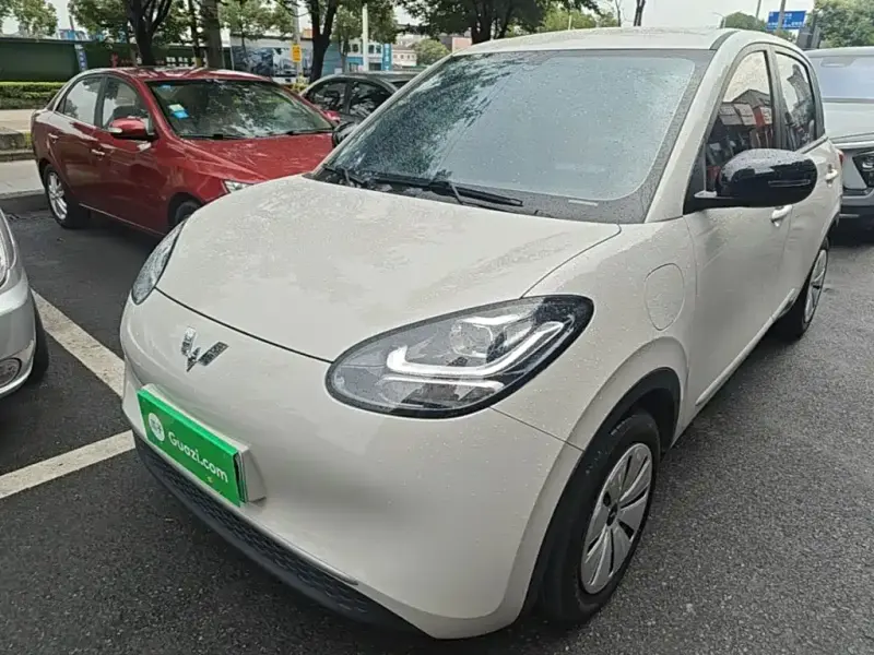 Wuling Bingo, 2024