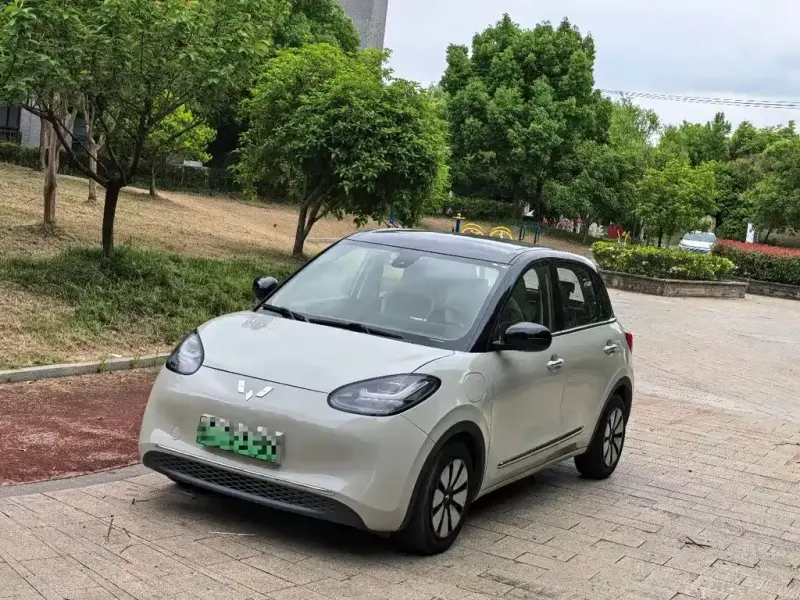 Wuling Bingo, 2023