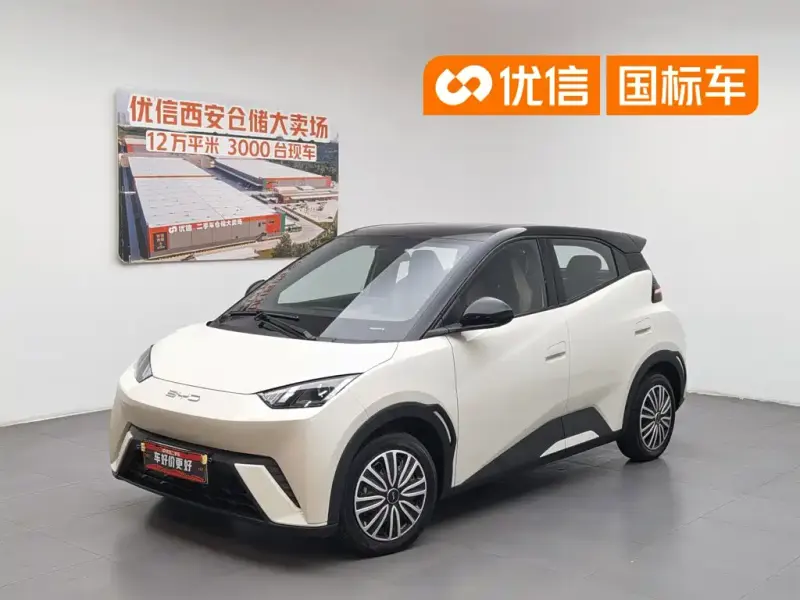 BYD Seagull, 2024