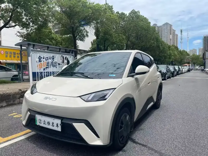 BYD Seagull, 2024