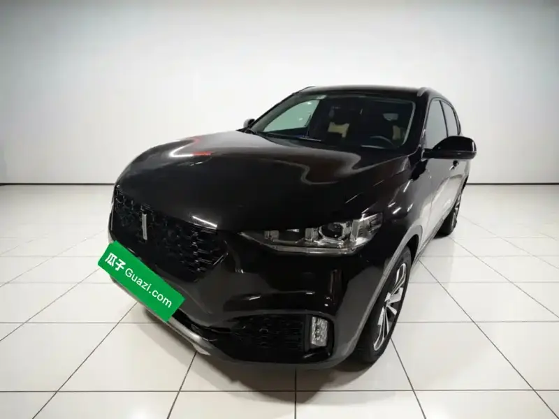 Wey VV6, 2019