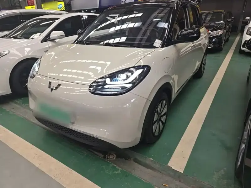 Wuling Bingo, 2023