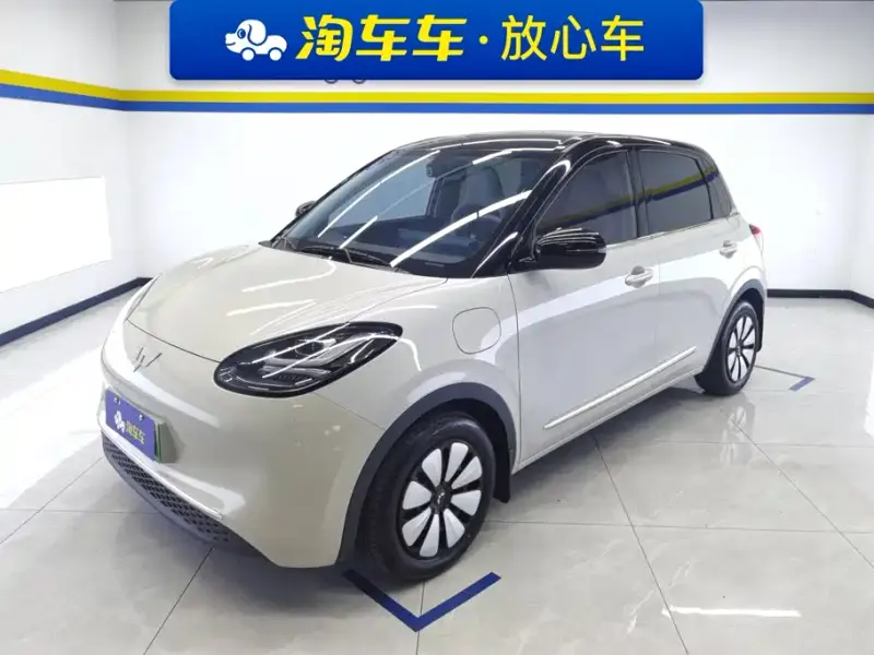 Wuling Bingo, 2024