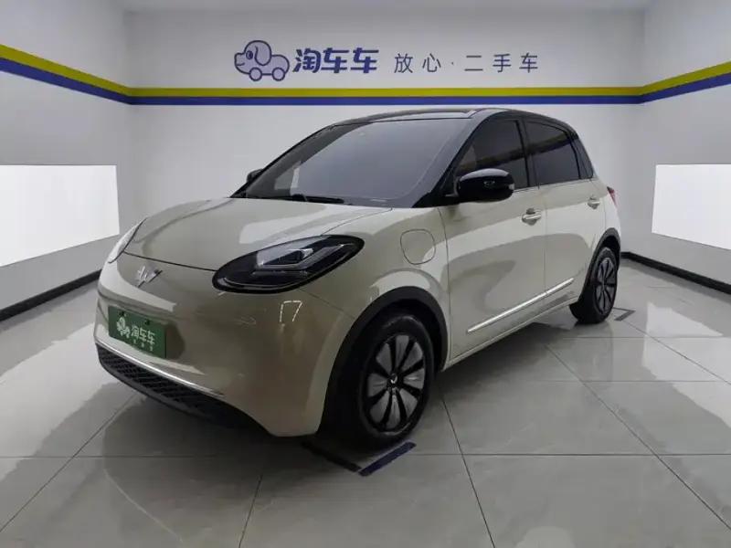 Wuling Bingo, 2024