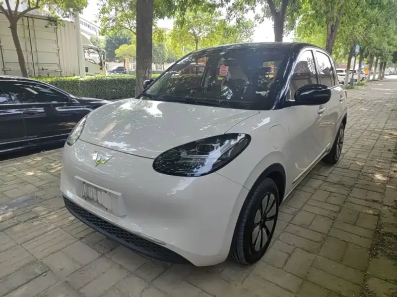Wuling Bingo, 2024