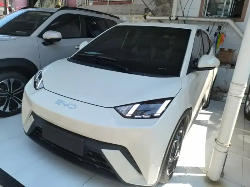 BYD Seagull, 2024
