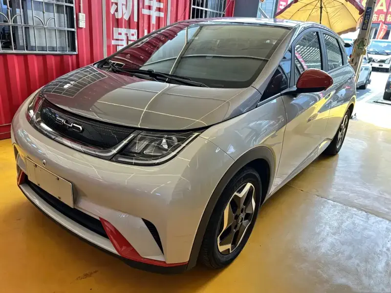 BYD Dolphin, 2022